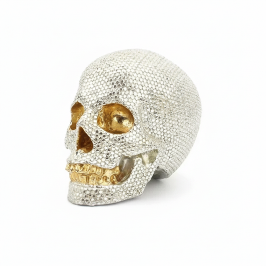 BigChoicy™ Vintage Skull Sculpture